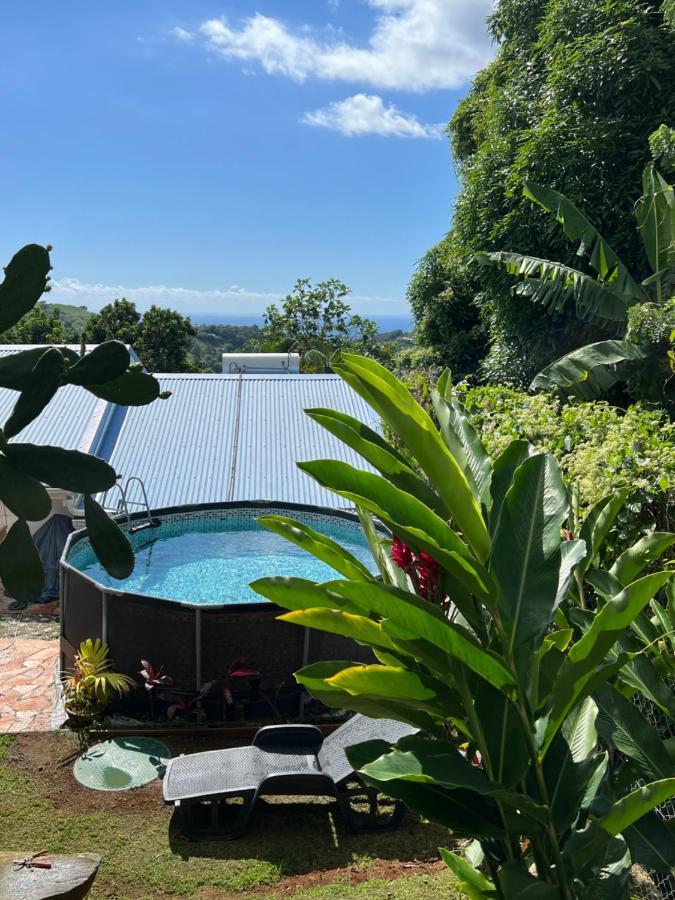 Villa Iguana, Duplex Paisible, Vue Magnifique Mer Et Rocher Du Diamant, Piscine Sainte-Luce Exterior foto